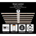 /msite/products/detail/productid/62905373/id/1514267.html